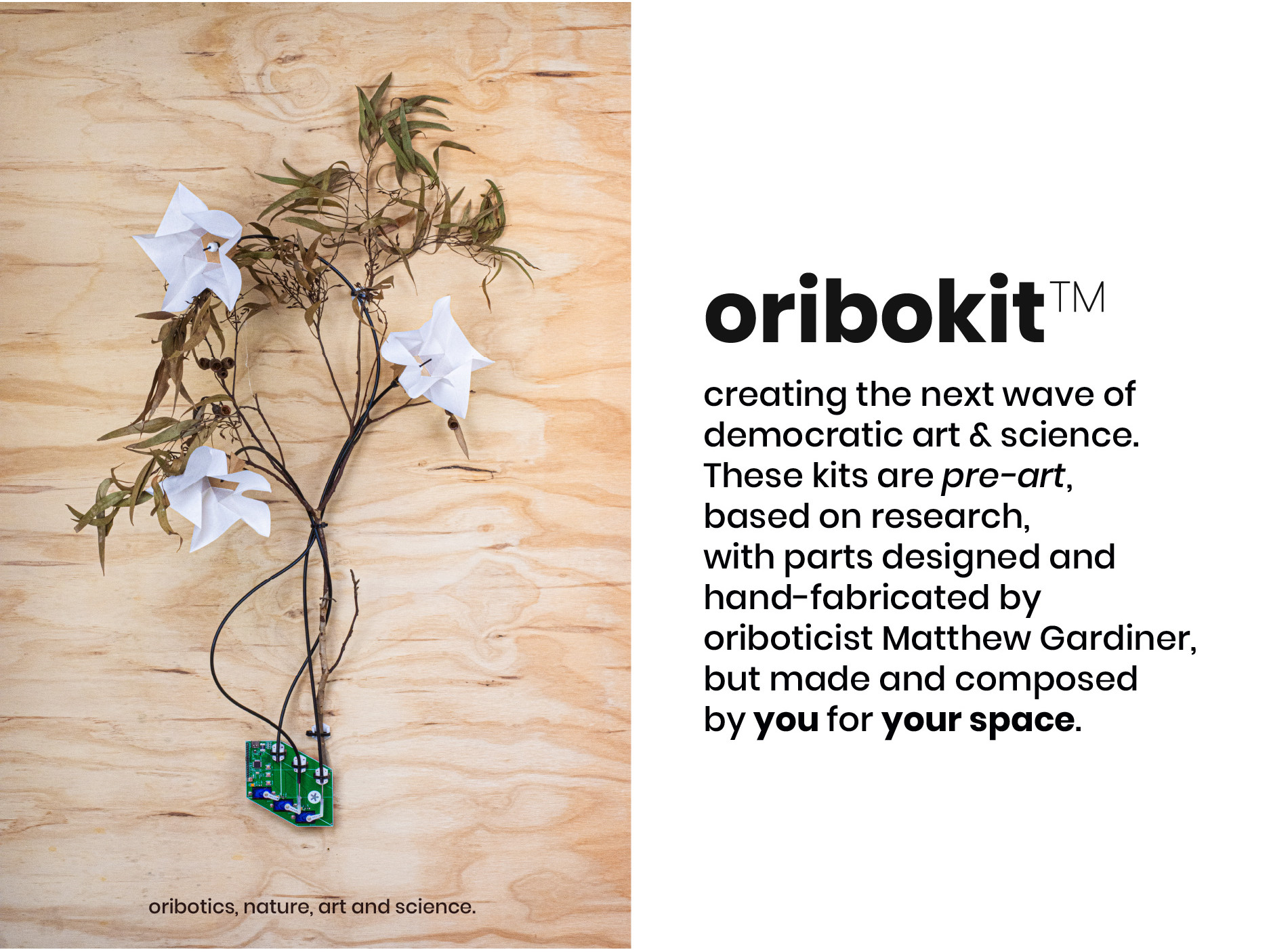 Oribokit Democratic Art-Science
